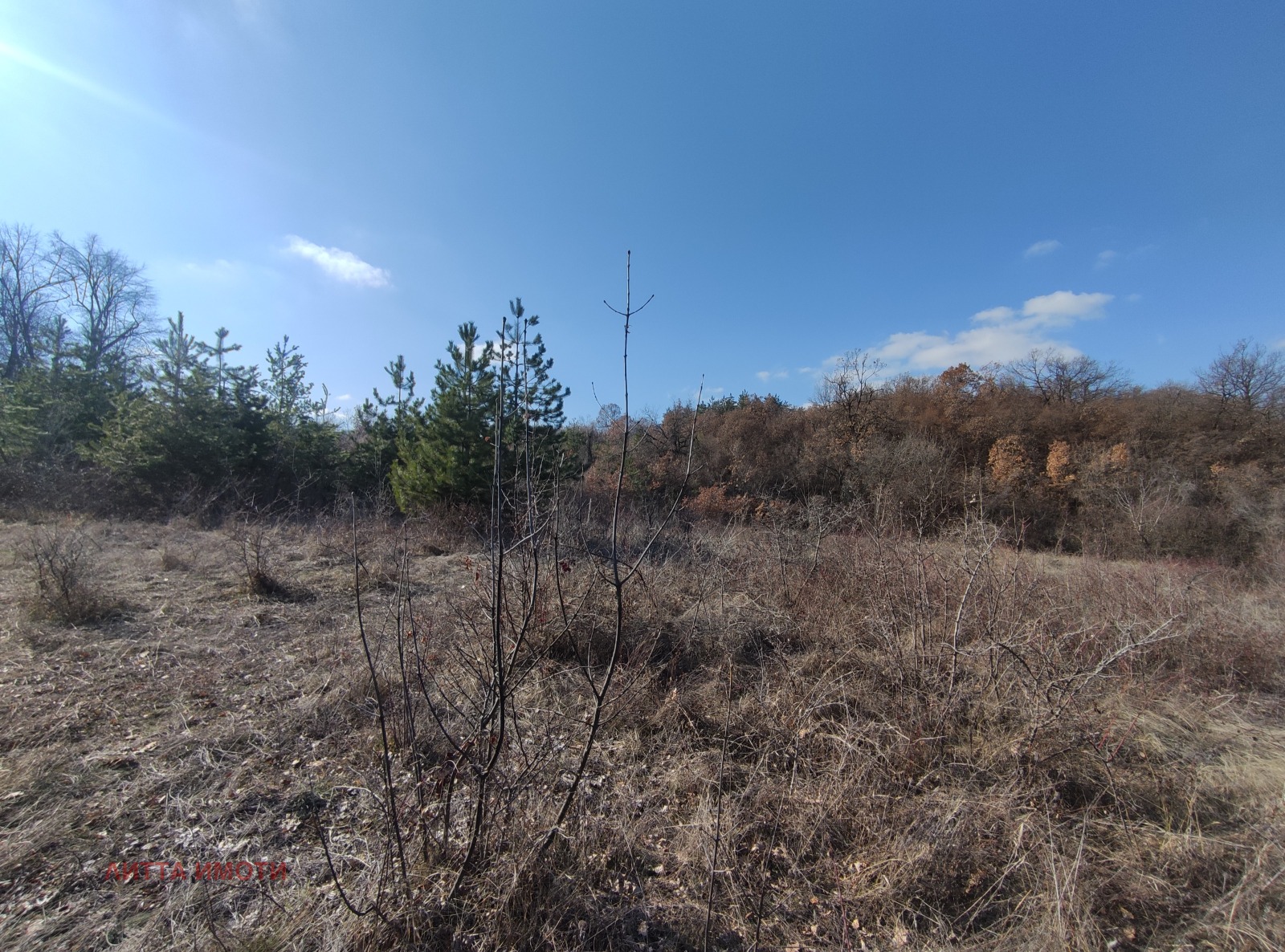 ������� ������ | Imot.bg � ����������� 7