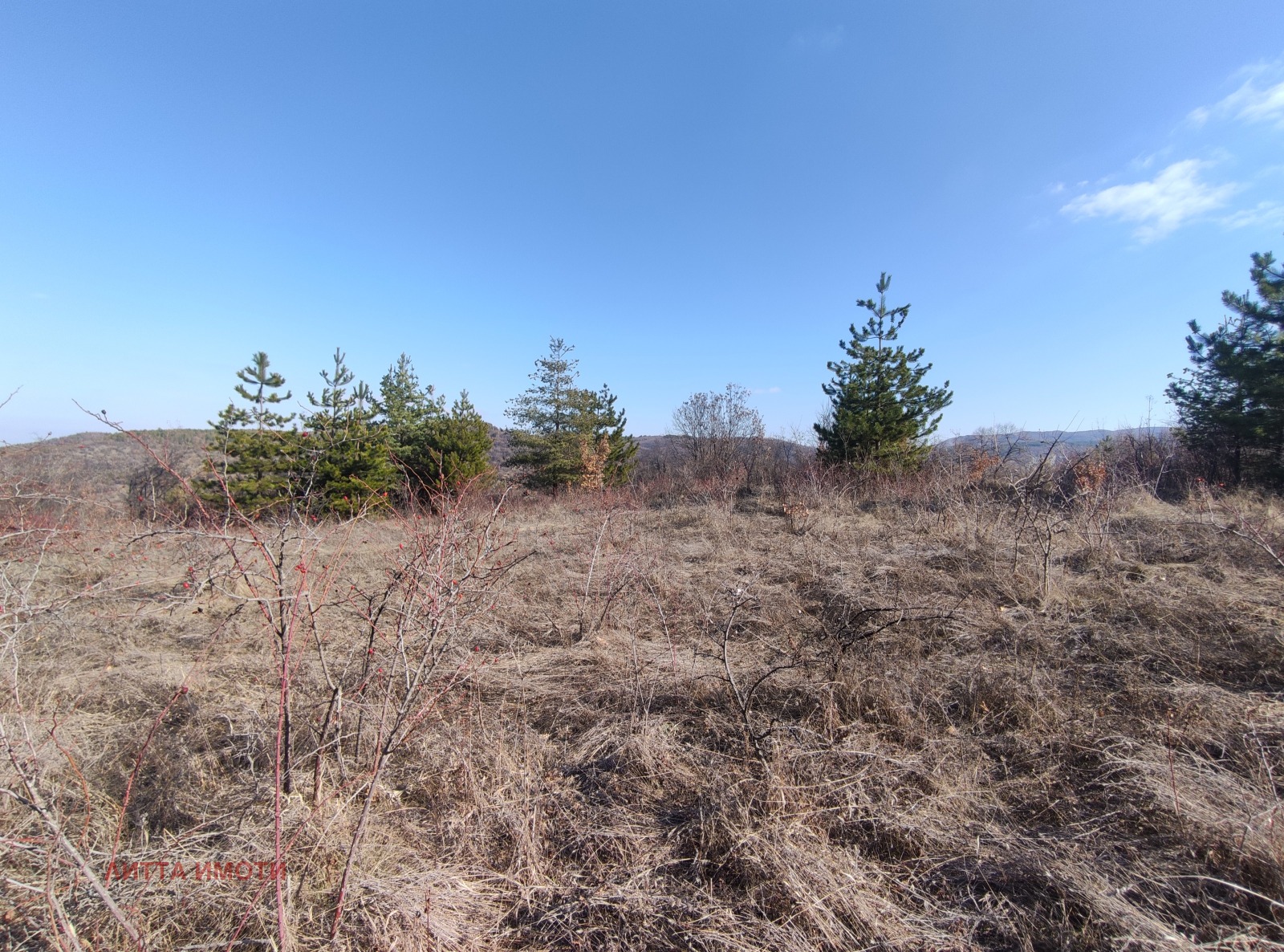 ������� ������ | Imot.bg � ����������� 10