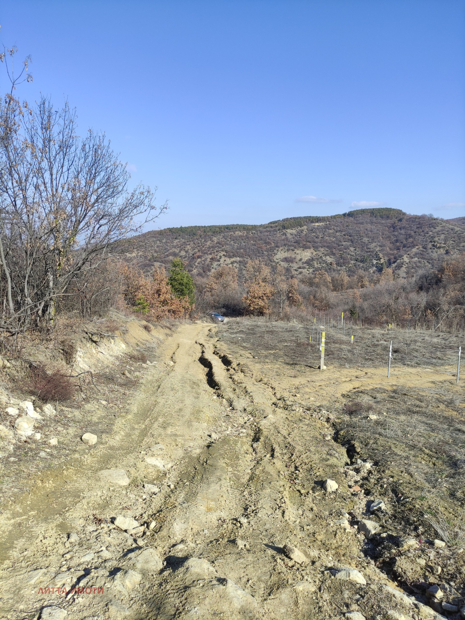 ������� ������ | Imot.bg � ����������� 13