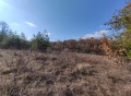 Продава ПАРЦЕЛ, с. Храбрино, област Пловдив, снимка 3