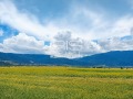 Продава  Парцел област Шумен , с. Риш , 2124 кв.м | 99084854