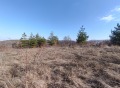 Продава ПАРЦЕЛ, област Пловдив, с. Храбрино • 35650 € • 76351282 — Holmes.bg