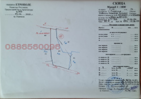 ����� ������� ������,�. ��������, ������ �����