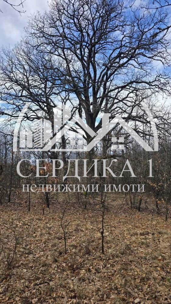 Продава КЪЩА, с. Горна Василица, област София област, снимка 4 - Къщи - 54412215
