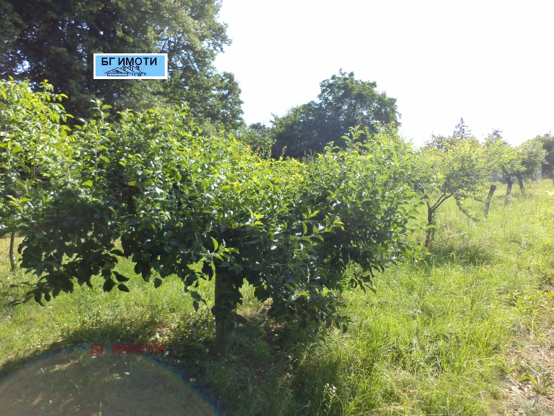 Til salgs  Plott Vratsa , Studentski grad , 1332 kvm | 44579601 - bilde [3]