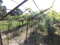 Продава ПАРЦЕЛ, град Враца, Студентски град • 9000 лв. • 34480564 — Holmes.bg