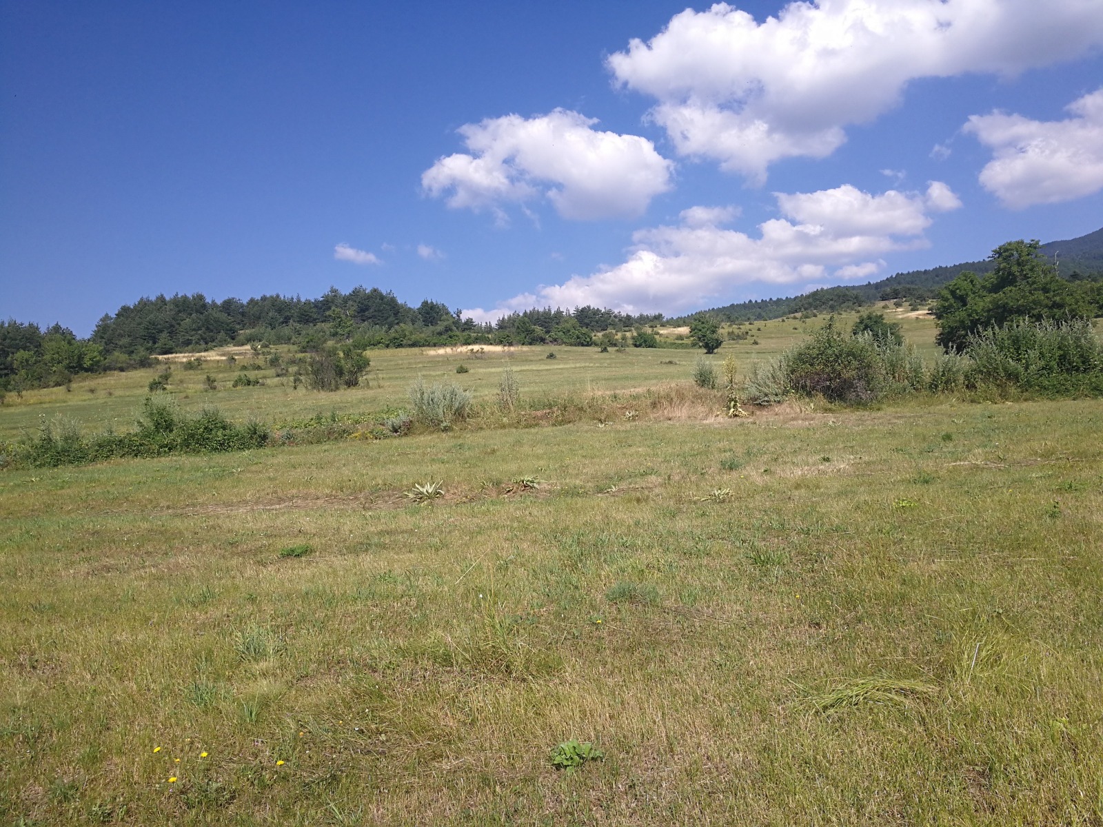 ������� �������/����� | Imot.bg � ����������� 13