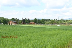Plot Ivanyane, Sofia 1