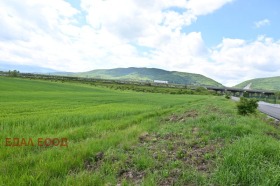 Plot Ivanyane, Sofia 5