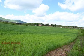 Plot Ivanyane, Sofia 9