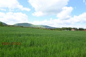 Plot Ivanyane, Sofia 12