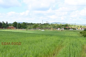 Plot Ivanyane, Sofia 13