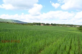 Plot Ivanyane, Sofia 11