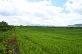 Plot Ivanyane, Sofia 6