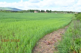 Plot Ivanyane, Sofia 4