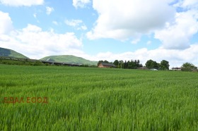 Plot Ivanyane, Sofia 7