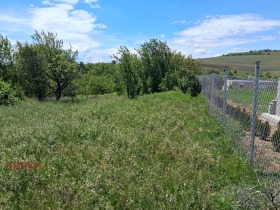 Komplo Zidarci, bölge Pernik
