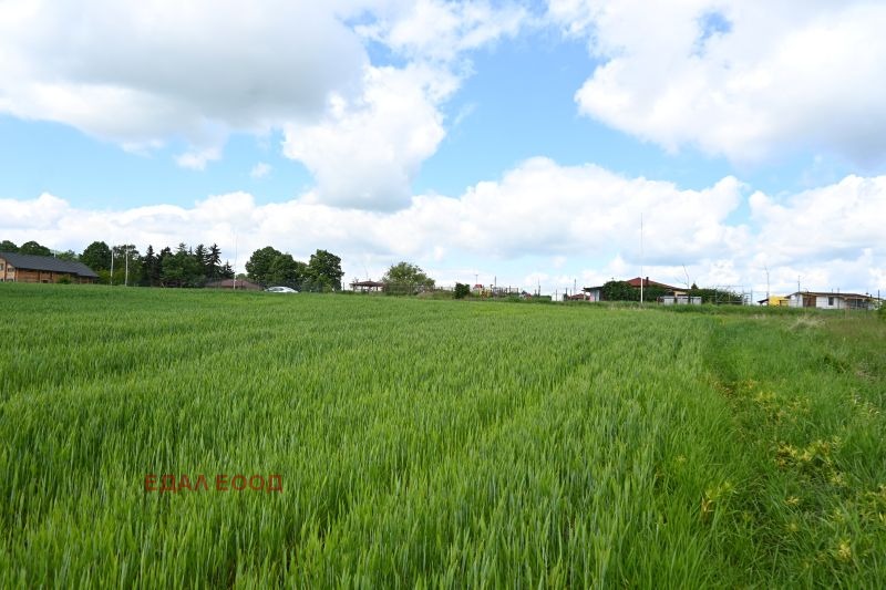 Eladó  Cselekmény Sofia , Ivanjane , 24710 négyzetméter | 45029430 - kép [8]