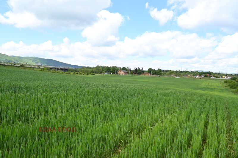 Eladó  Cselekmény Sofia , Ivanjane , 24710 négyzetméter | 45029430 - kép [11]