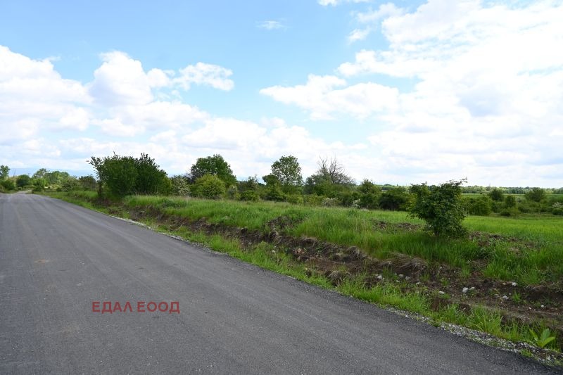 Eladó  Cselekmény Sofia , Ivanjane , 24710 négyzetméter | 45029430 - kép [16]