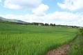 Продава ПАРЦЕЛ, с. Иваняне, област София-град, снимка 8