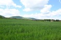 Продава ПАРЦЕЛ, с. Иваняне, област София-град, снимка 11