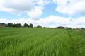 Продава ПАРЦЕЛ, с. Иваняне, област София-град, снимка 7