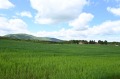 Продава ПАРЦЕЛ, с. Иваняне, област София-град, снимка 9