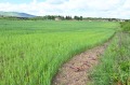 Продава ПАРЦЕЛ, с. Иваняне, област София-град, снимка 3