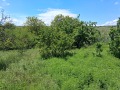 Продава ПАРЦЕЛ, област Перник, с. Зидарци • 80000 лв. • 91859747 — Holmes.bg