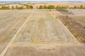 Продава ПАРЦЕЛ, област Пловдив, с. Цалапица • 99500 € • 69146215 — Holmes.bg