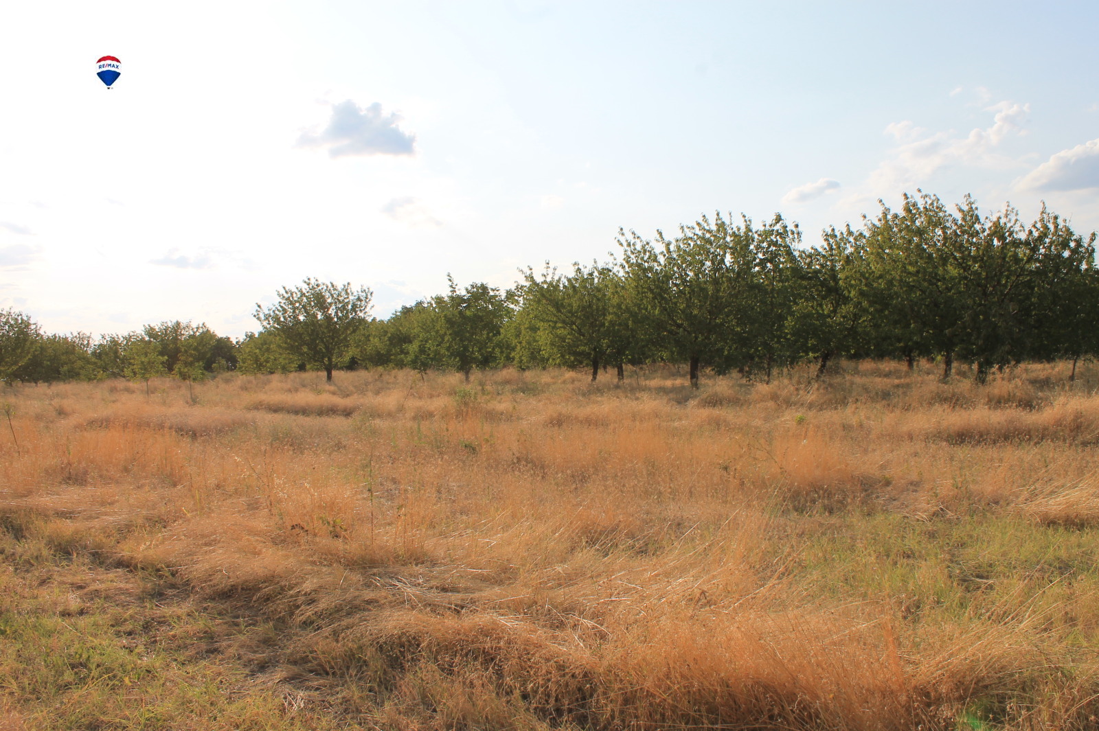 ������� ���������� ���� | Imot.bg � ����������� 5