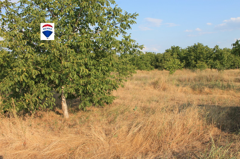 À venda  Terra região Plovdiv , Bogdanica , 30 tudo bem | 44624441 - imagem [4]