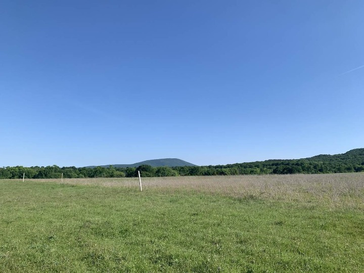 Till salu  Landa region Burgas , Carevo , 20 dka | 86674427 - bild [3]