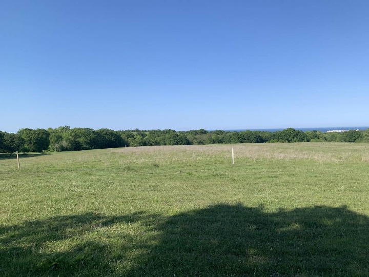 Till salu  Landa region Burgas , Carevo , 20 dka | 86674427 - bild [4]