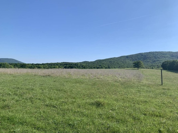 Till salu  Landa region Burgas , Carevo , 20 dka | 86674427