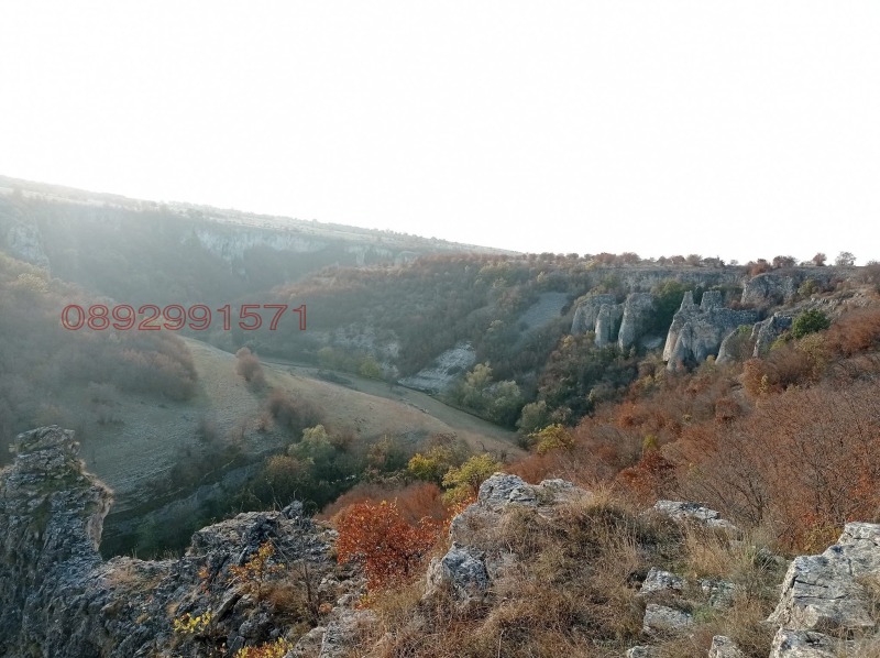 Продава КЪЩА, с. Камено поле, област Враца, снимка 10 - Къщи - 52779559