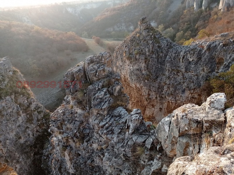 Продава КЪЩА, с. Камено поле, област Враца, снимка 11 - Къщи - 52779559