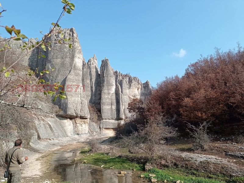 Продава КЪЩА, с. Камено поле, област Враца, снимка 7 - Къщи - 52779559