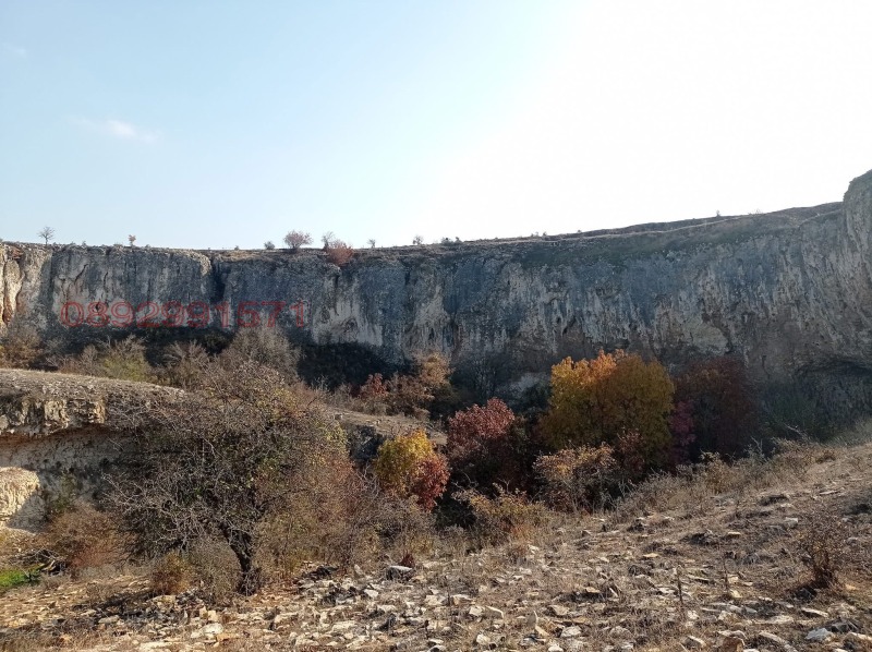 Продава КЪЩА, с. Камено поле, област Враца, снимка 15 - Къщи - 52779559