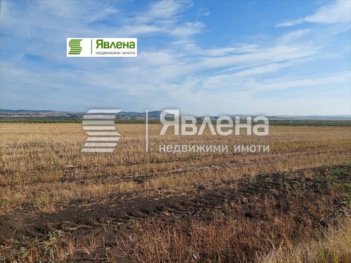 Продаја  Плот регион Бургас , Поморие , 8333 м2 | 26426417 - слика [8]