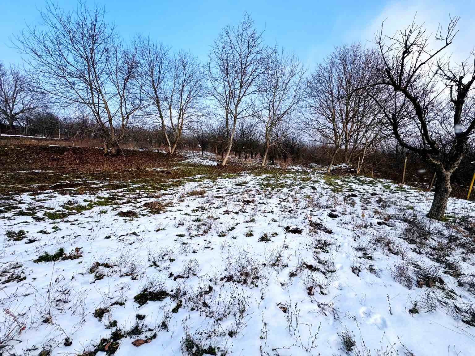 ������� ���� | Imot.bg � ����������� 7