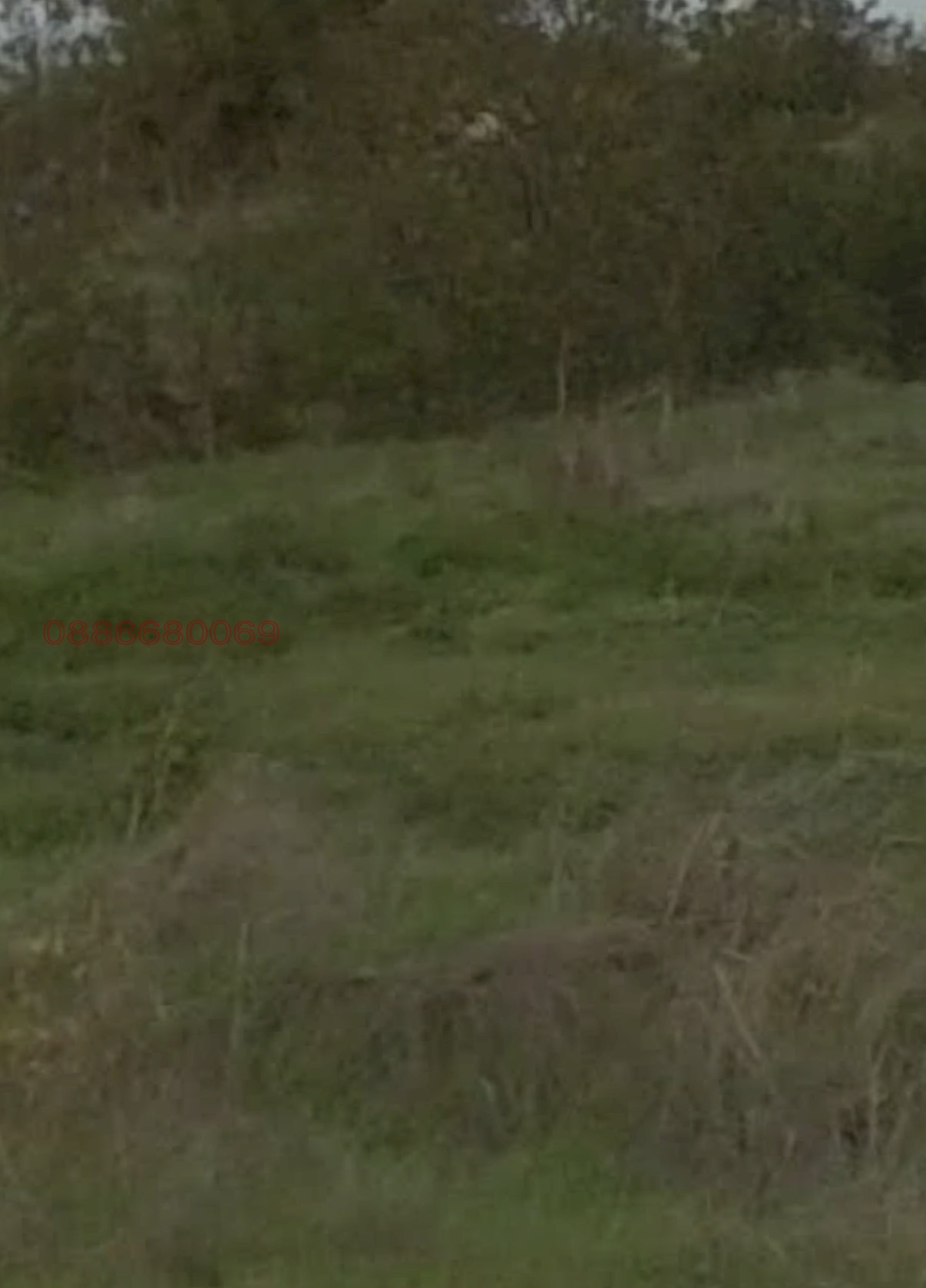 ������� ������ | Imot.bg � ����������� 1