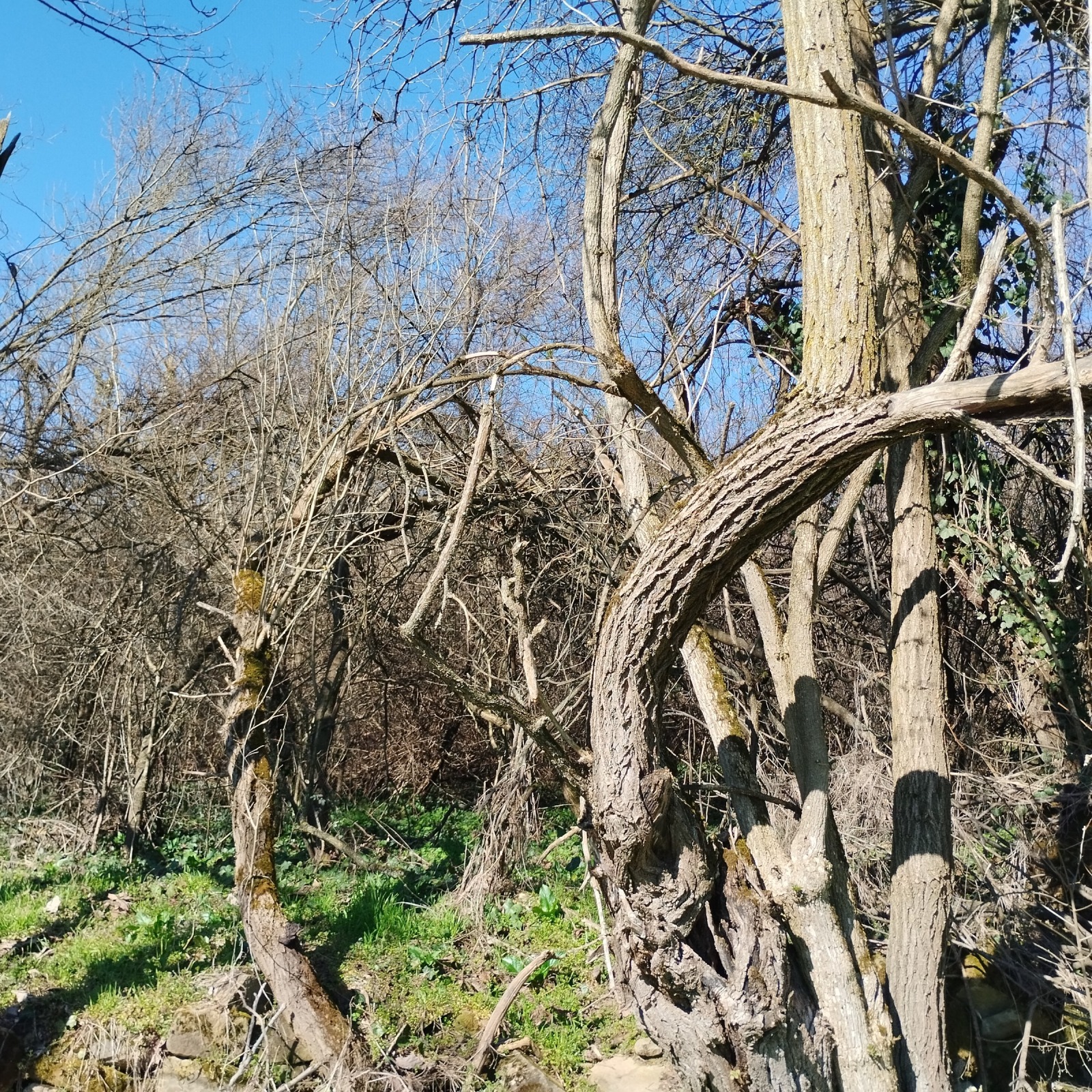 ������� ������ | Imot.bg � ����������� 3