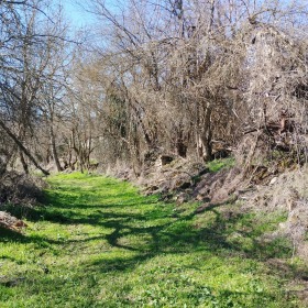 ������� ������ | Imot.bg � ����� ������ 7