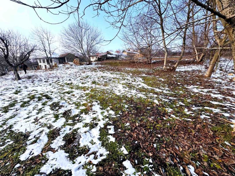 Продава ВИЛА, с. Пет кладенци, област Русе, снимка 7 - Вили - 53413366