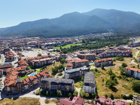 Studie Bansko, region Blagoevgrad 7