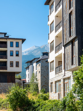 Studie Bansko, region Blagoevgrad 10