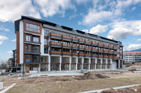 Studie Bansko, region Blagoevgrad 8