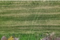 Продава ПАРЦЕЛ, гр. Две могили, област Русе, снимка 2
